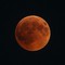 Eclissi totale di Luna visibile oggi anche a Cerignola