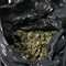 Scoperto a Cerignola un bunker per la produzione di marijuana: 5 arresti