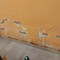 Classe con muffa sui muri: i genitori segnalano il caso della scuola Via XXV Aprile a Cerignola