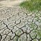 Arriva acqua agli agricoltori pugliesi dal Molise: obiettivo raggiunto dalla Lega