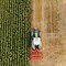 Agricoltura, dalla Regione Puglia 30 milioni di euro per sostenere le imprese e rafforzare le filiere