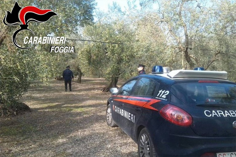 Carabinieri in campagna