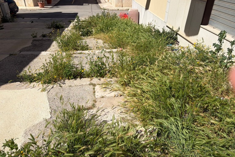 Erbacce e degrado in Via Masaniello