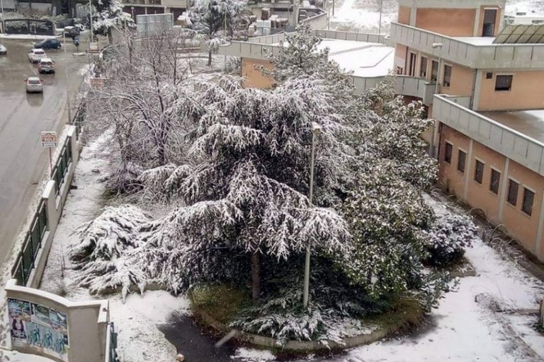 cerignola innevata