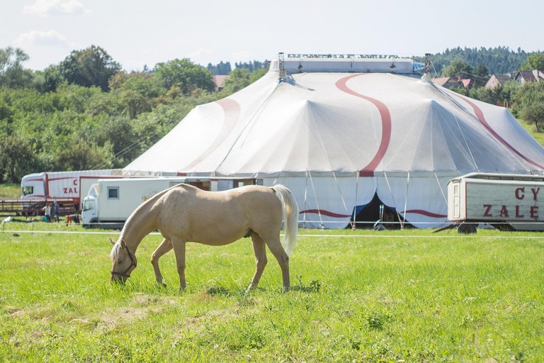 circo