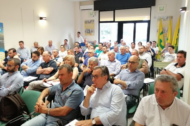 Conferenza Stampa Coldiretti Foggia