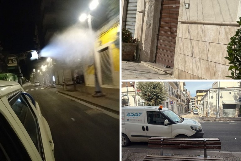 Disinfestazione e derattizzazione a Cerignola