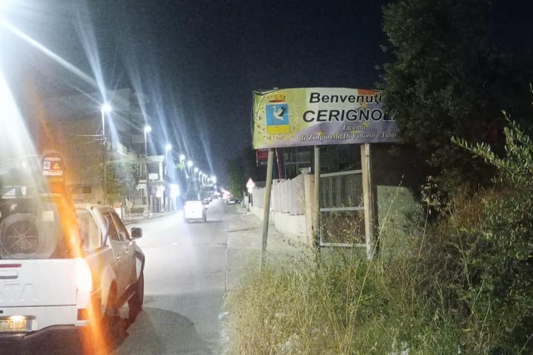 disinfestazione