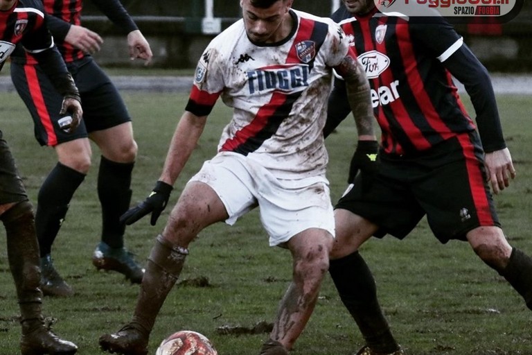 filippo dandrea