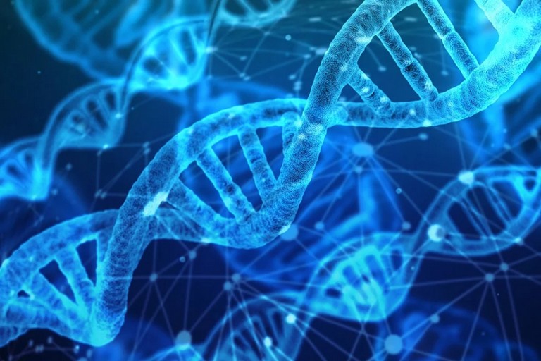 Genetica
