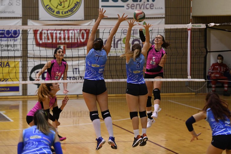 Pallavolo Cerignola. <span>Foto Sara Angiolino</span>