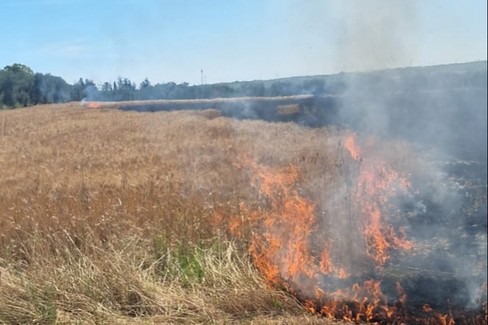 Incendio S.S. Manfredonia (Cerignola). <span>Foto Domenico Ziro</span>