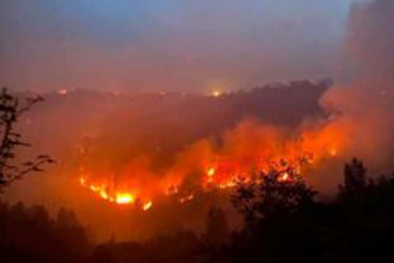 Incendio Gargano