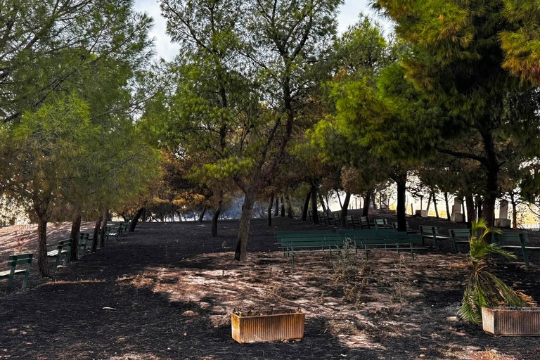 Incendio Madonna di Ripalta
