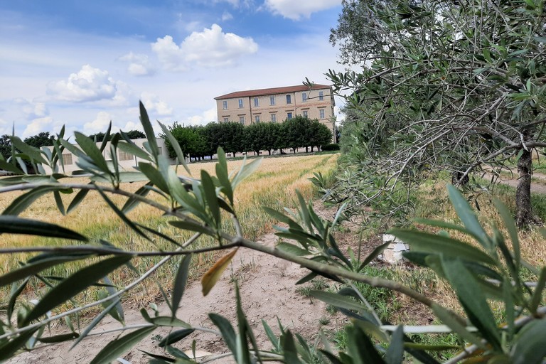 Istituto agrario Giuseppe Pavoncelli