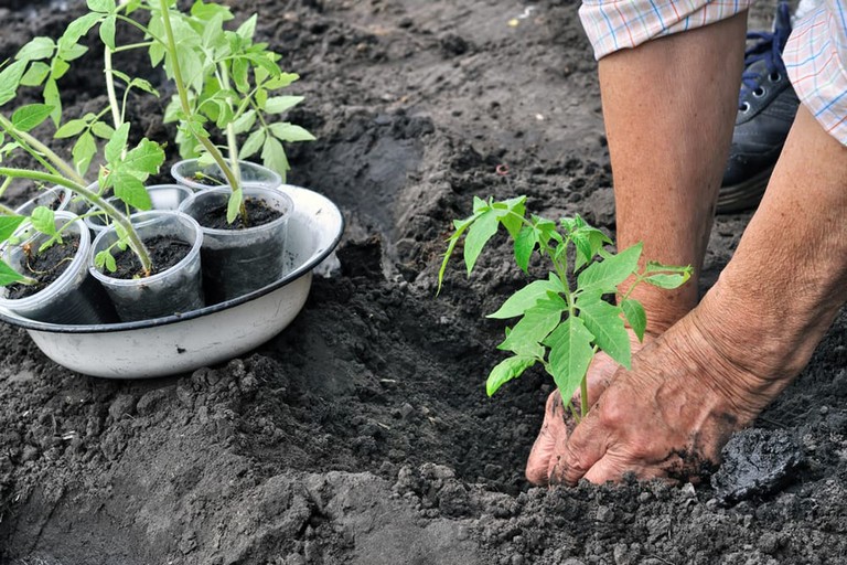 Lavori in campagna