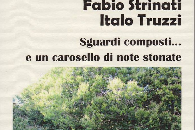 Libro Strinati Truzzi