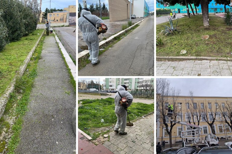 Manutenzione verde pubblico quartiere San Samuele e in viale Giuseppe Di Vittorio