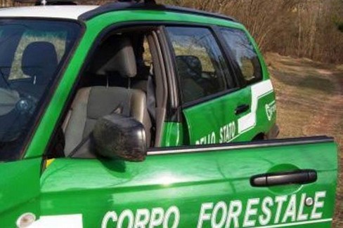 Corpo Forestale dello Stato