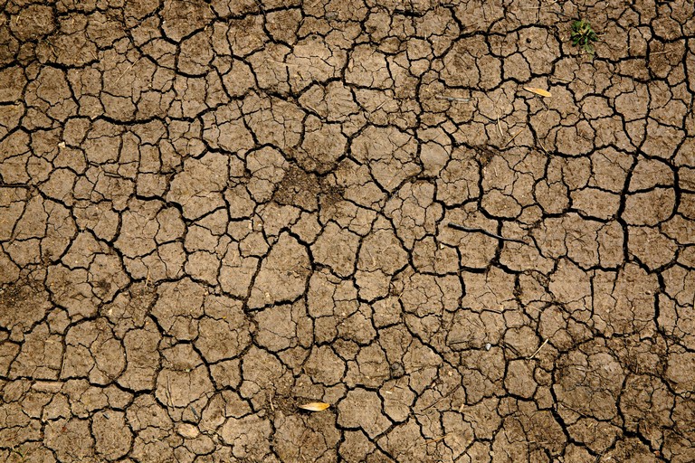 Siccità, anche Cerignola nell'allarme di Coldiretti Puglia: in Capitanata picchi di 38° e -67 milioni di mc d'acqua