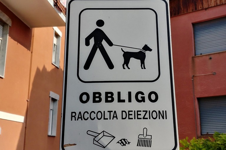 raccolta deiezioni