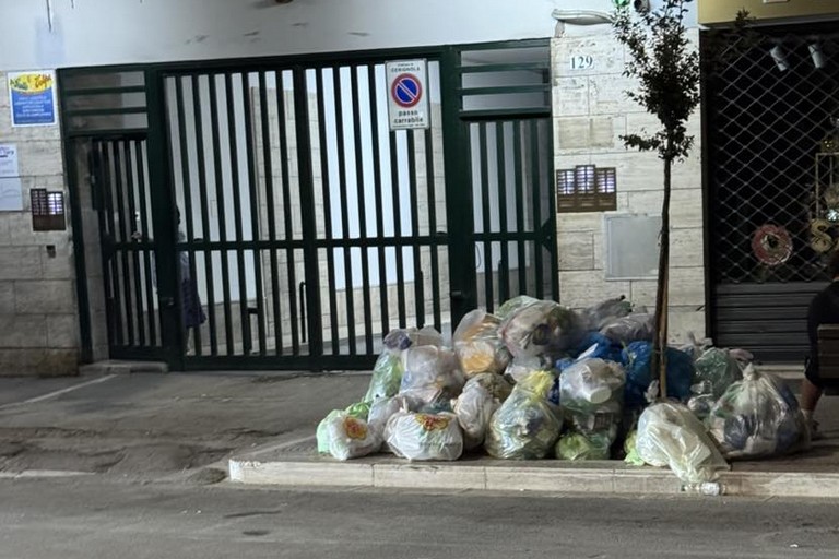 Rifiuti in centro,