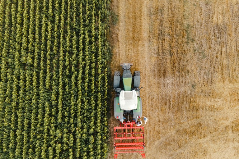 Servizio Civile Agricolo