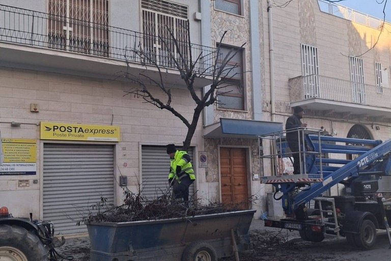 Verde pubblico Cerignola