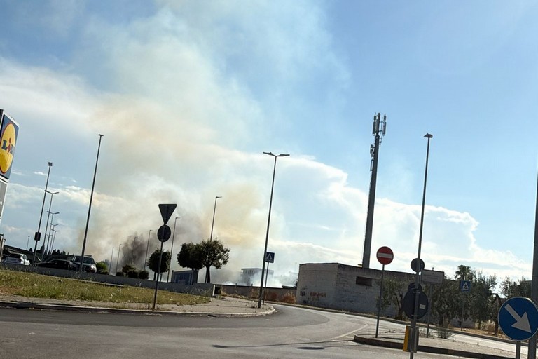 Incendio nei pressi di viale Fra Daniele a Cerignola: fiamme e fumo nella zona